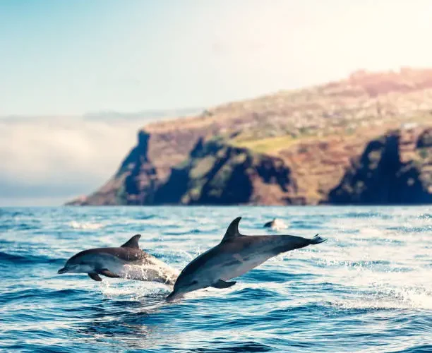 séjour Madère Portugal activités aquatiques Madère randonnée Pico do Arieiro voyage responsable Madère